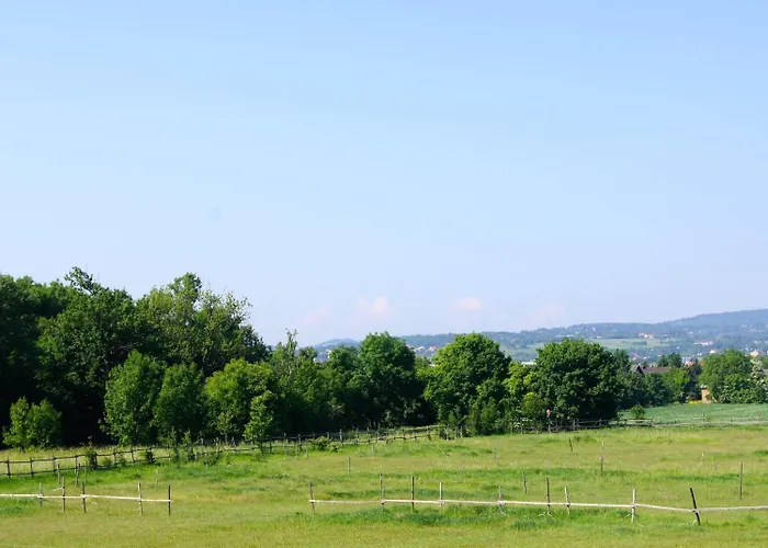 Karl-wirt Perchtoldsdorf